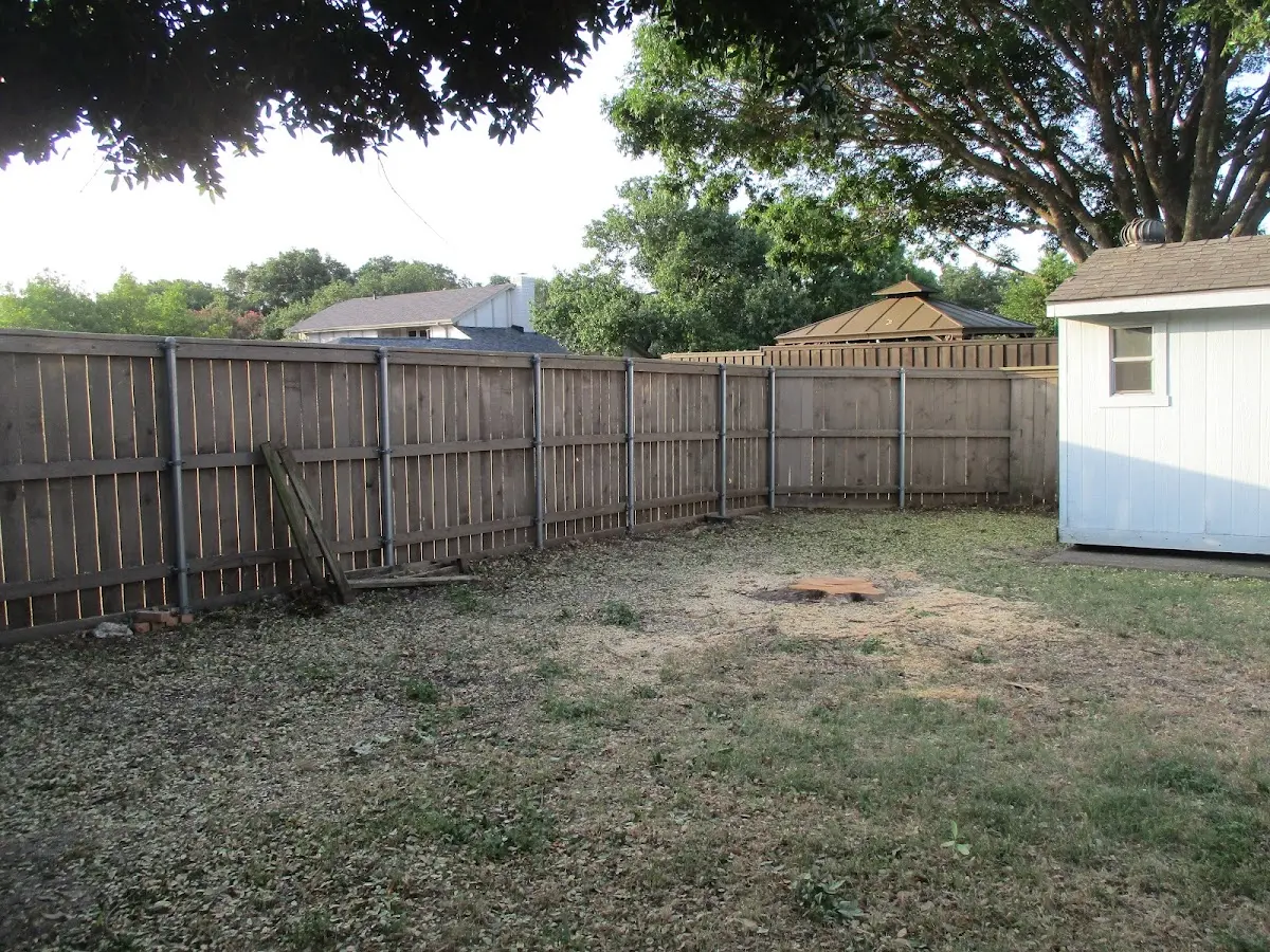 Cleared yard after professional tree removal in Landisville